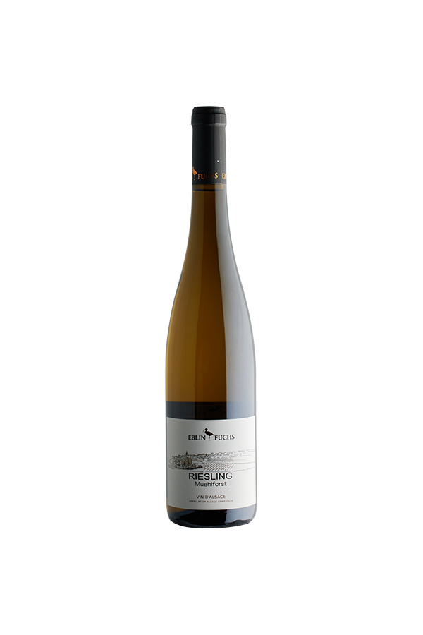 Riesling 2023 <br>Muehlforst Vieilles Vignes