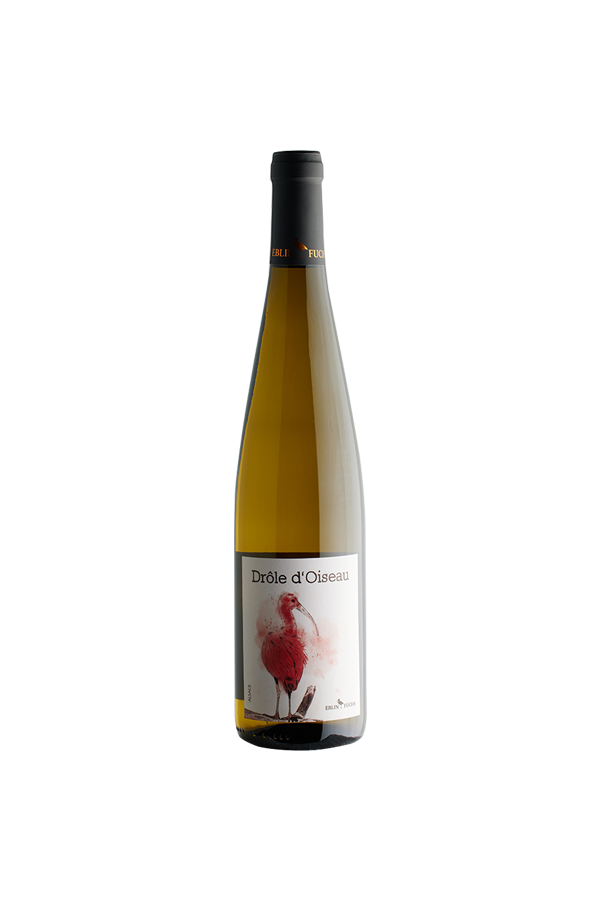 Drôle d'Oiseau